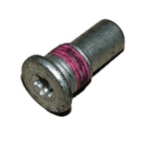 Ruuvi torx AL-KO AKS 3004