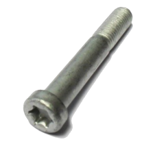 Ruuvi torx AL-KO 12x78 mm