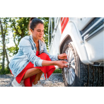 AL-KO ProSafe CPL Standard -lukituslaite