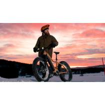 Tunturi eMAX EB-F600 -sähköpyörä, 40 cm