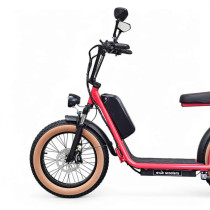 Sähköskootteri maastorenkilla Ego Slide 1000W, 20Ah (2025)