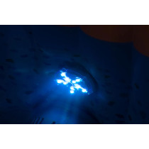Bestway Lay-Z-Spa 7 Color LED -porealtaan valo