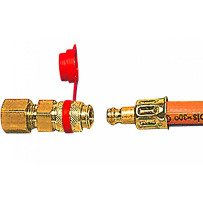 GOK kaasun pikaliitin naaras