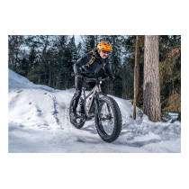 GZR Dominanc-e 3.0 -sähköfatbike 19"