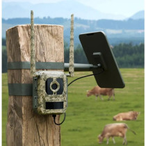 Camovue Talon Pro by Reolink 4G -riistakamera ulkokäyttöön